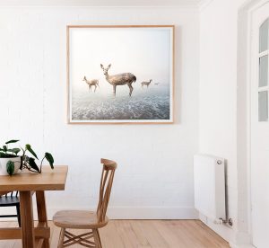 wildlife art photography