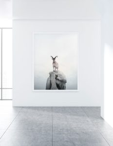 wildlife art photography