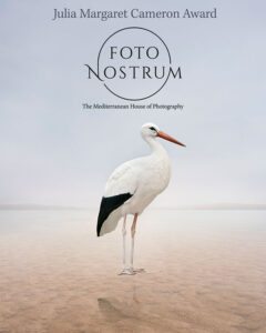foto nostrum solo exhibition alice zilberberg