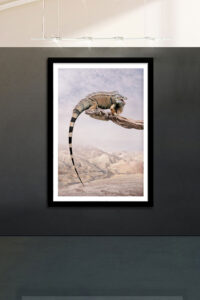 wildlife photography