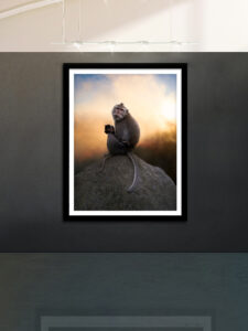 wildlife art photography