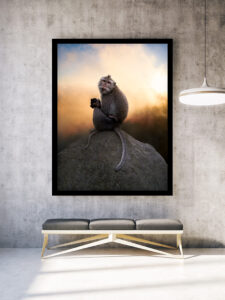 wildlife art photography