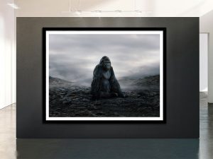 wildlife art photography