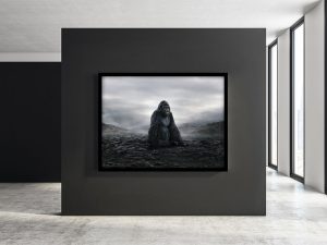 wildlife art photography