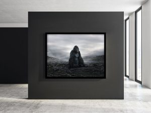 wildlife art photography