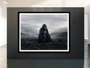 wildlife art photography gorilla