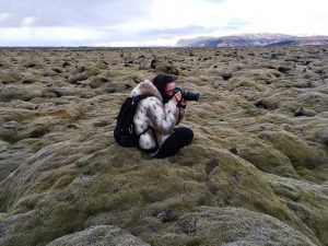 iceland green moss photography