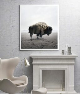 buffalo art