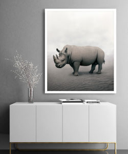 rhino art
